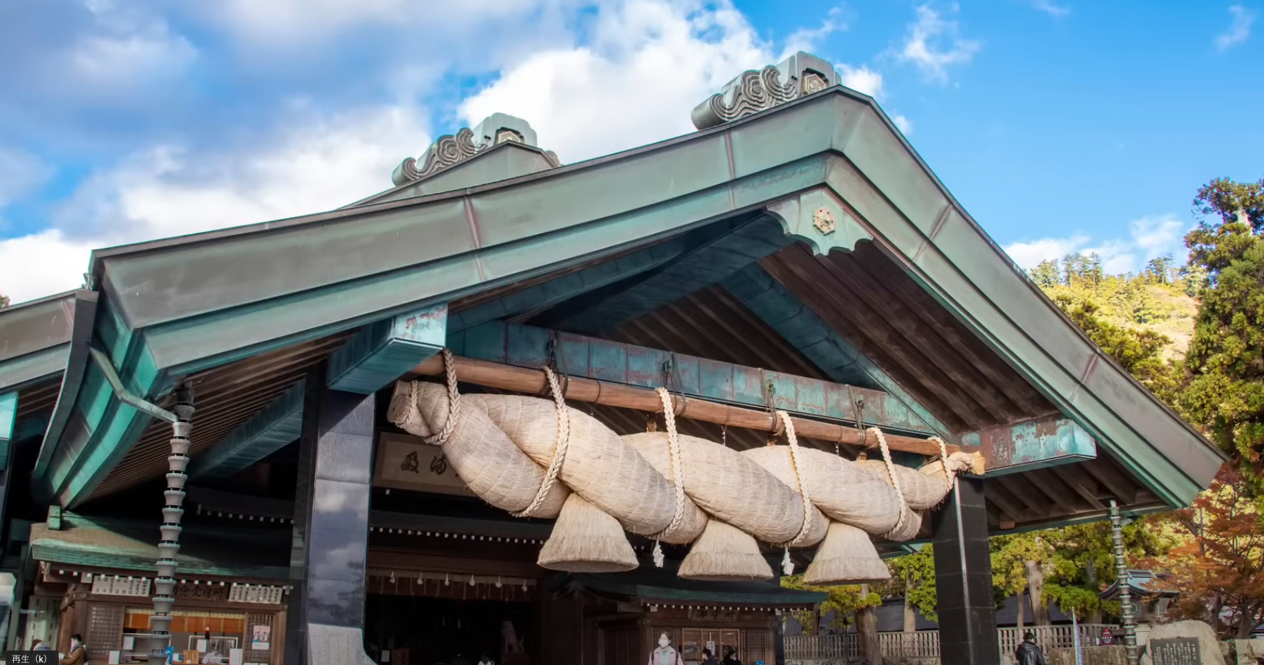 神社の太いしめ縄に使われているマコモ