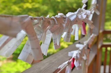 おみくじの疑問にお答えします｜羽賀ヒカル「神社のキホン」