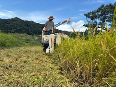 今年の新米の味は？ まだまだ続く稲刈り作業