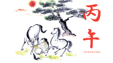【干支で占う２０２６年】〝開運の波〟に乗る方法