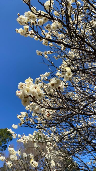 「後期は好機」！奇跡を起こすために、いまやるべき勉強法とは？