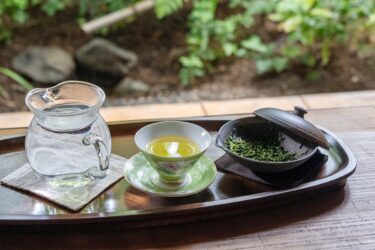 日吉大社への参拝に寄せて──煎茶『最澄』の奥にあるものを味わう